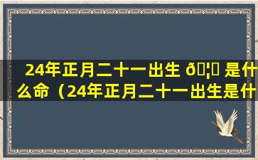 24年正月二十一出生 🦁 是什么命（24年正月二十一出生是什么命格）